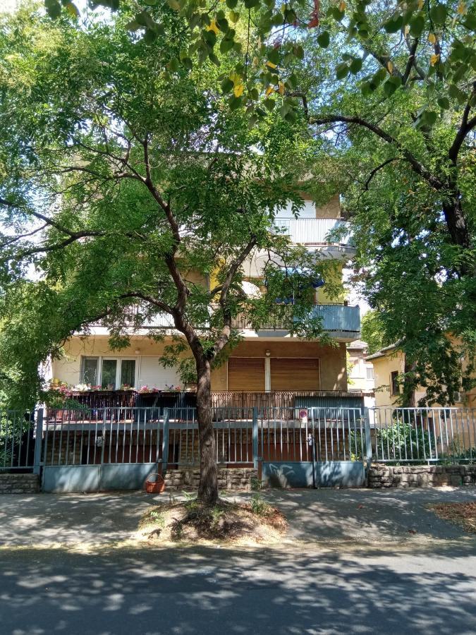 Free Parking, Balcony, Near To City Park Budapest Eksteriør bilde